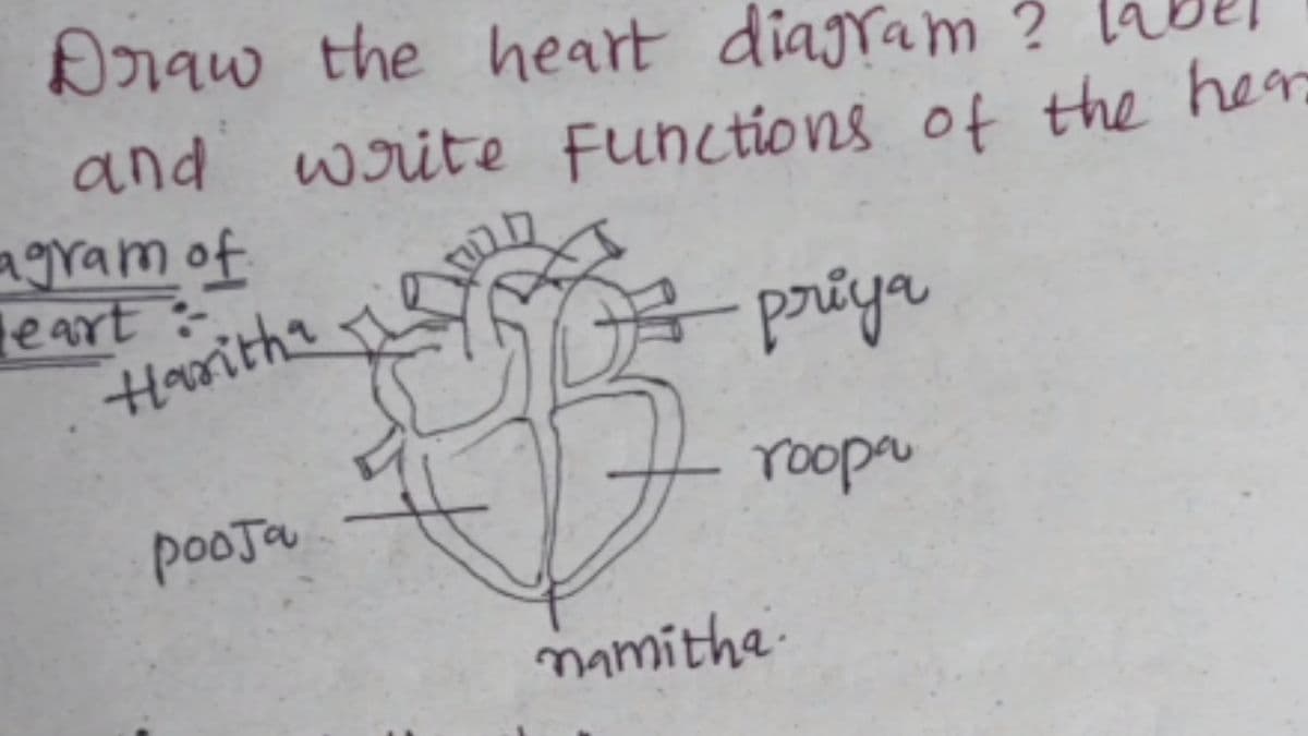 Viral answer Sheet