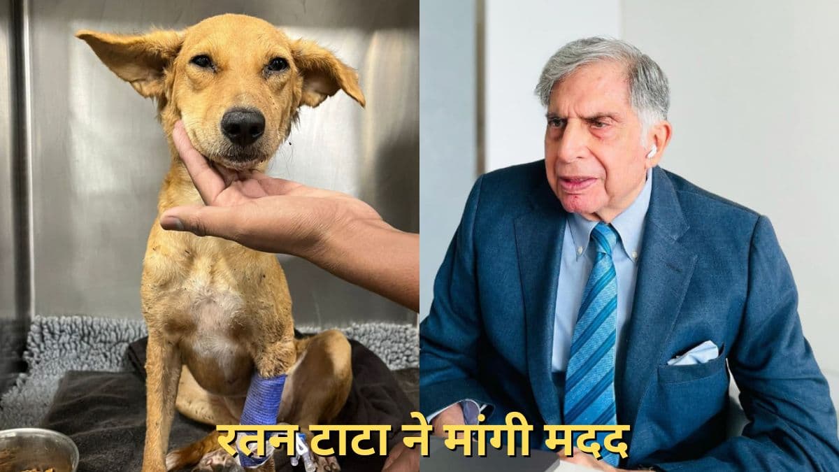 रतन टाटा ने इस बेजुबान के लिए लोगों से मांगी मदद, कहा- कोई ब्लड डोनर मिले तो बताएं