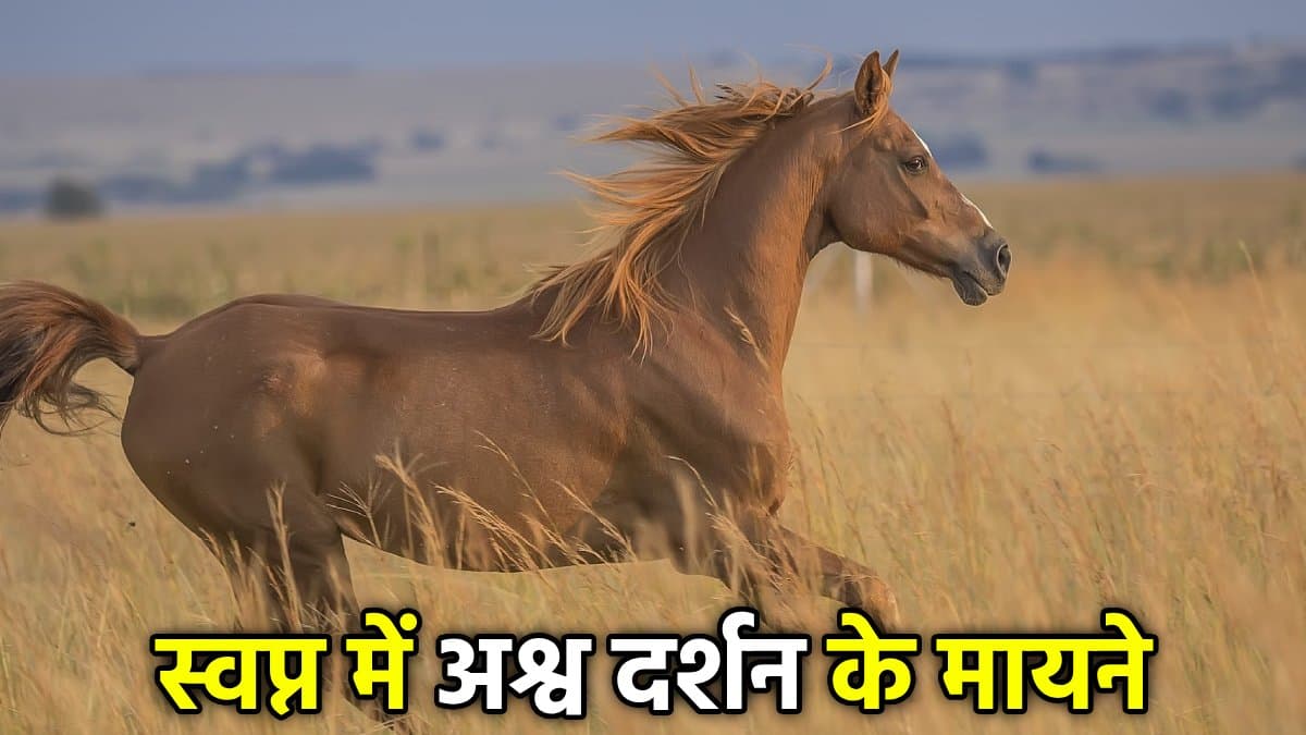 हर सपना कुछ कहता है: सपने में ‘दौड़ते हुए घोड़े’ दिखें तो मिलते हैं ये 5 शुभ संकेत