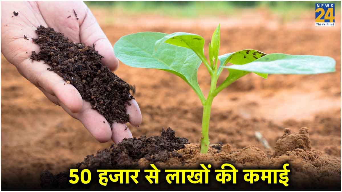 Business Idea : 50 हजार रुपये से शुरू करें यह बिजनेस, हर महीने होगी लाखों में कमाई