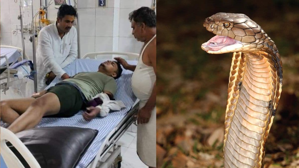 Fatehpur Snake Bite