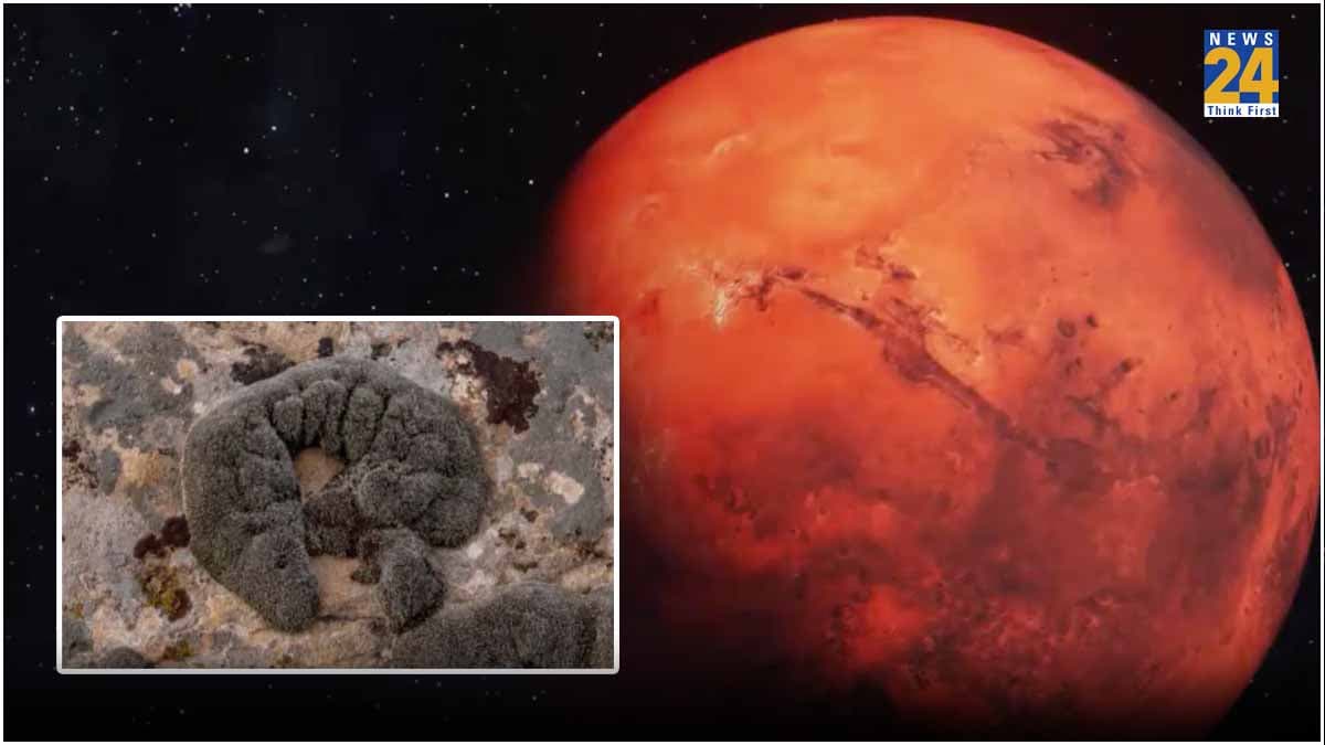 मंगल पर भी रह सकेंगे इंसान! वैज्ञान‍िकों को अंटार्कटिक में म‍िली ऐसी खास चीज, जो लाल ग्रह पर बना देगी लाइफ आसान