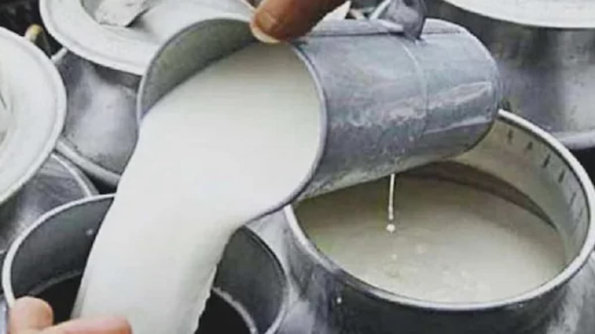दूध भी होने लगा चोरी, बेंगलुरु में बढ़ती घटनाओं से पुलिस भी हैरान
