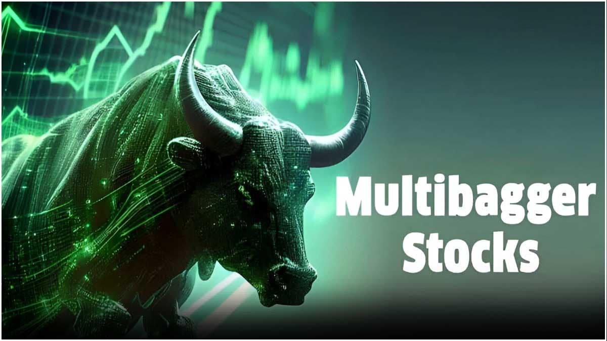 Multibagger Stock: रेलवे के इस शेयर ने दिया छप्परफाड़ रिटर्न, एक लाख रुपये के बना दिए 24 लाख