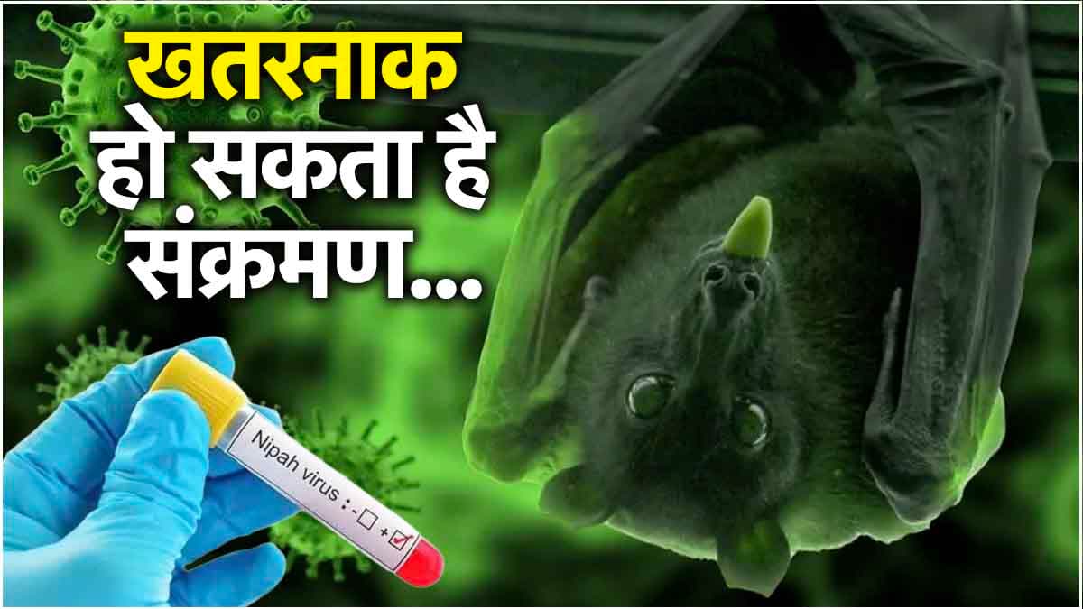 Nipah Virsus कितना खतरनाक? 14 साल के बच्चे की मौत, 60 से ज्यादा संक्रमित, एडवाइजरी जारी