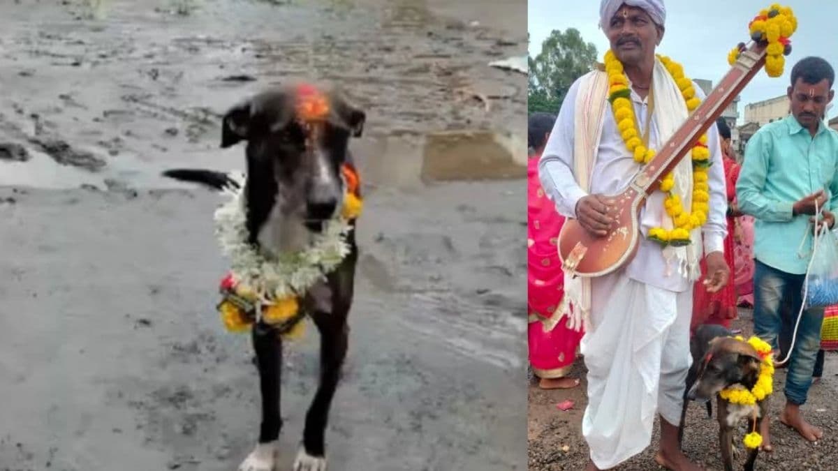 Viral Photo Karnatka