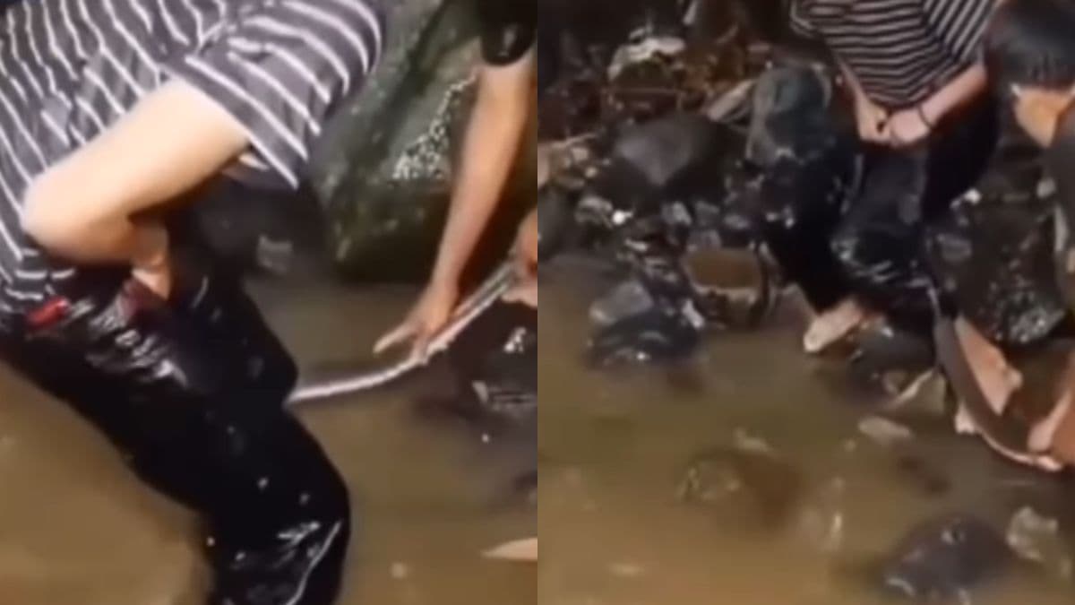 Viral Video Watefall