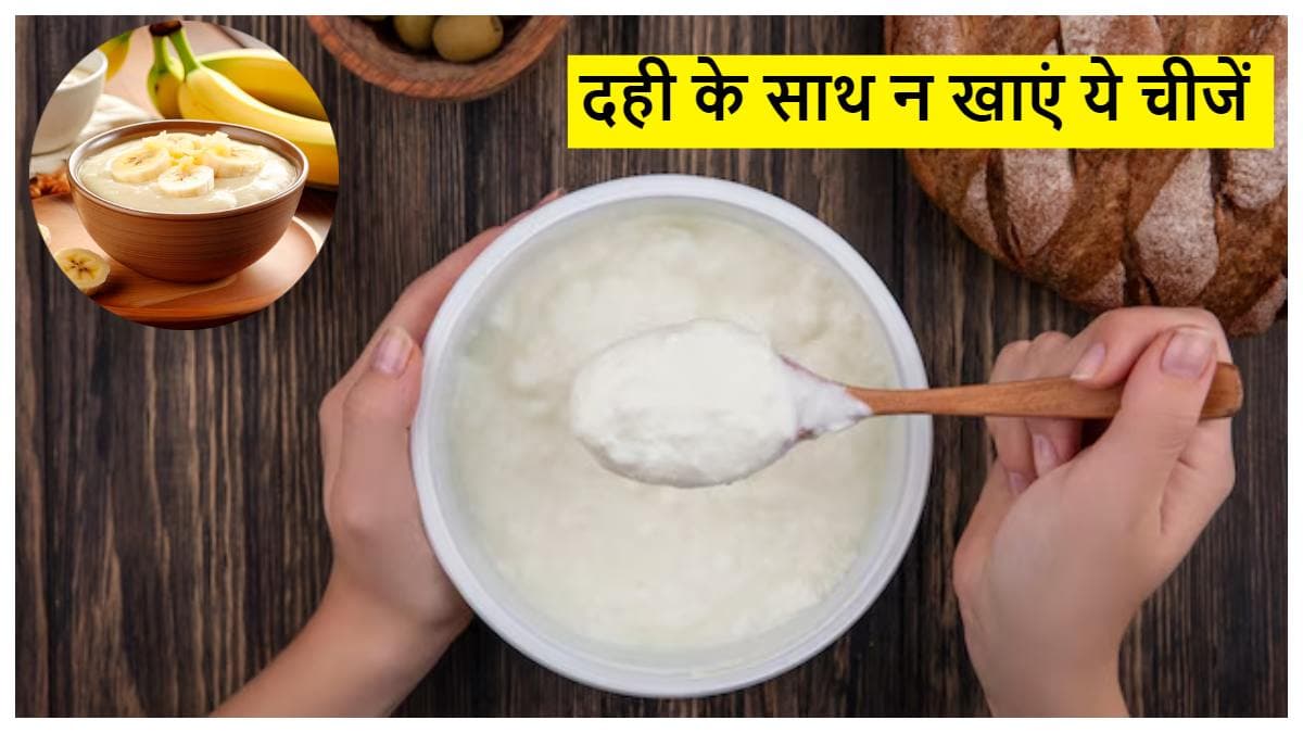 दही के साथ गलती से भी न खाएं ये 5 चीजें, तबीयत खराब होनी तय, जानें एक्सपर्ट की राय