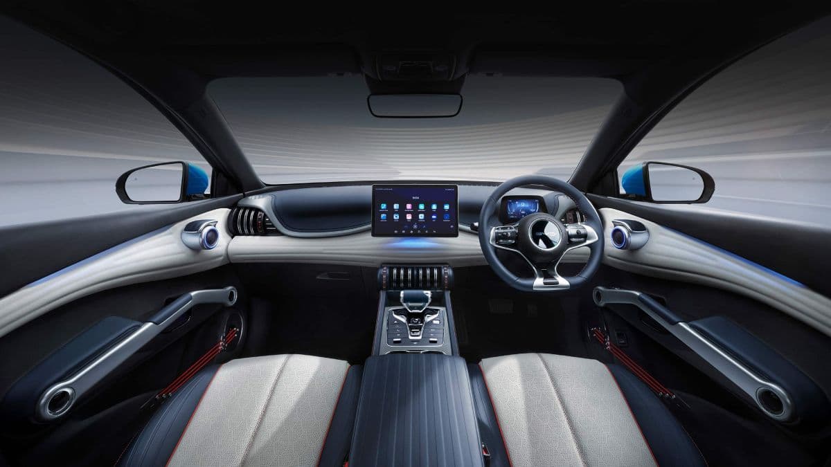 byd atto 3 (2)