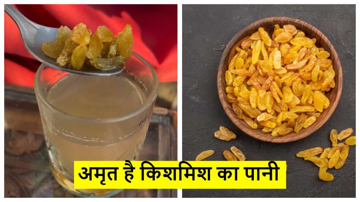 किशमिश ही नहीं  इसका पानी भी है सेहत के लिए फायदेमंद, कई बीमारियों को करता है दूर