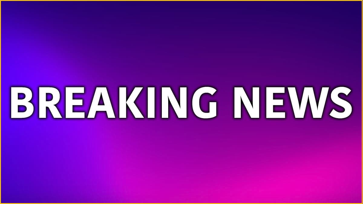 Breaking News: हमारे पास टाइम कम...विनेश के अयोग्य होने पर बोले रेसलिंग फेडरेशन के अध्यक्ष संजय सिंह