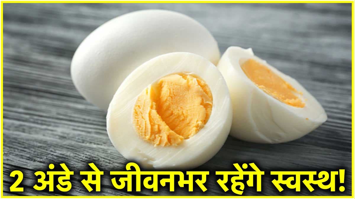 Egg Health Benefits: रोज 2 अंडे खाने से क्या होगा? एक्सपर्ट्स से जानिए