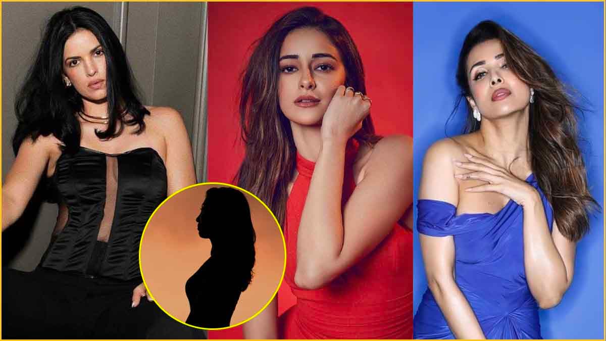 Arjun-Malaika के बाद एक और कपल का रिश्ता टूटा! इंस्टाग्राम से मिला हिंट, फैंस का भी टूटा दिल