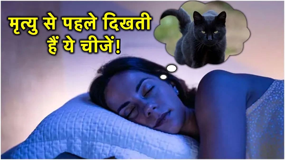 Swapna Shastra: सपने में बिल्ली समेत इन 5 चीजों का दिखना है मृत्यु का इशारा!