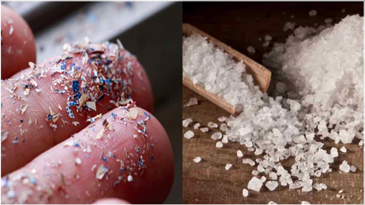 Microplastic in Salt and Sugar: चीनी-नमक में माइक्रोप्लास्टिक! क्या सेहत को होगा नुकसान, कैसे बचें इससे