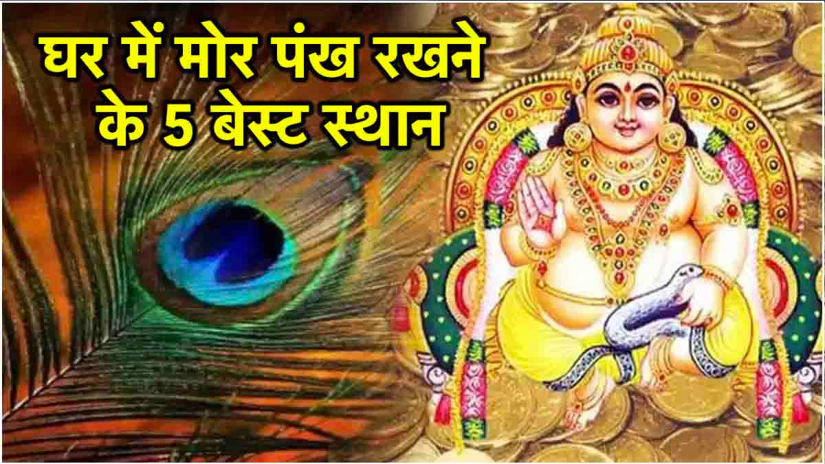 घर में इन 5 जगहों पर मोर पंख रखने से खुश होते हैं भगवान कुबेर, होती है पैसों की बरसात!