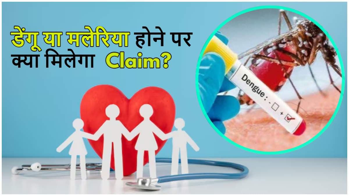 मच्छरों का डंक, क्या दिलाएगा हेल्थ इंश्योरेंस क्लेम? जानें नियम