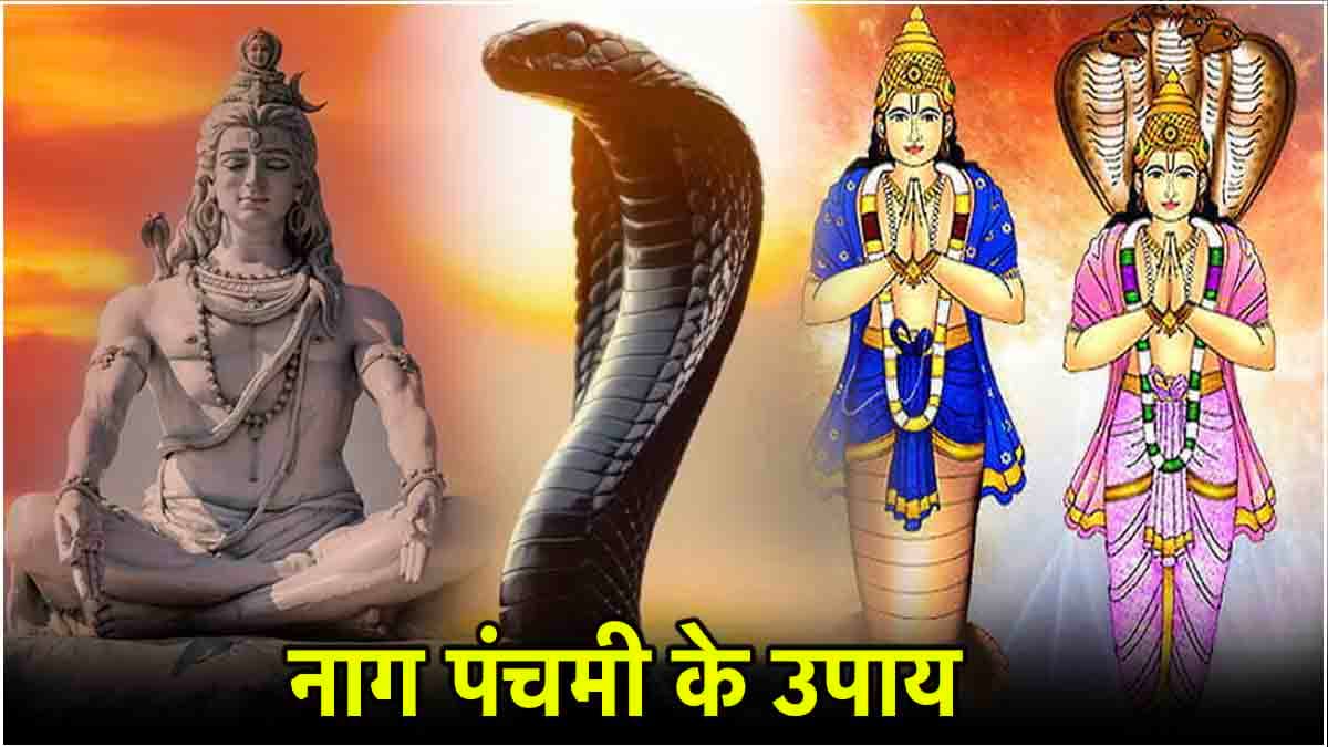6 साल बाद नाग पंचमी पर बन रहे हैं ये दुर्लभ संयोग, इन 3 उपायों से मिलेगी शिव कृपा, दूर होंगे राहु-केतु दोष