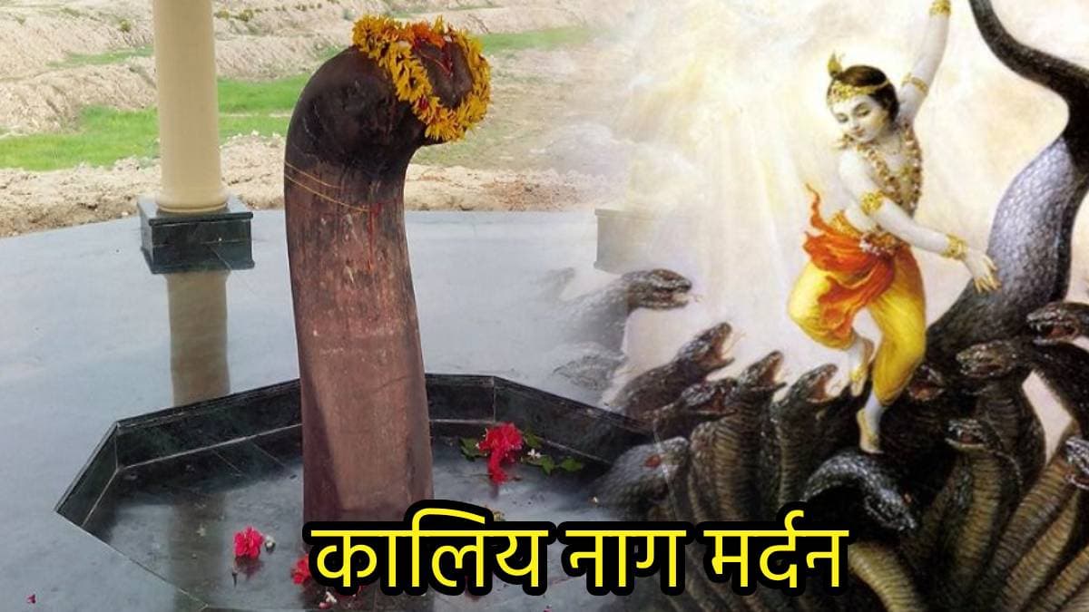 भगवान कृष्ण का कालिय नाग को श्राप- 'जहां भी पीछे मुड़कर देखोगे, वहीं पत्थर के हो जाओगे', जानिए पूरी कथा