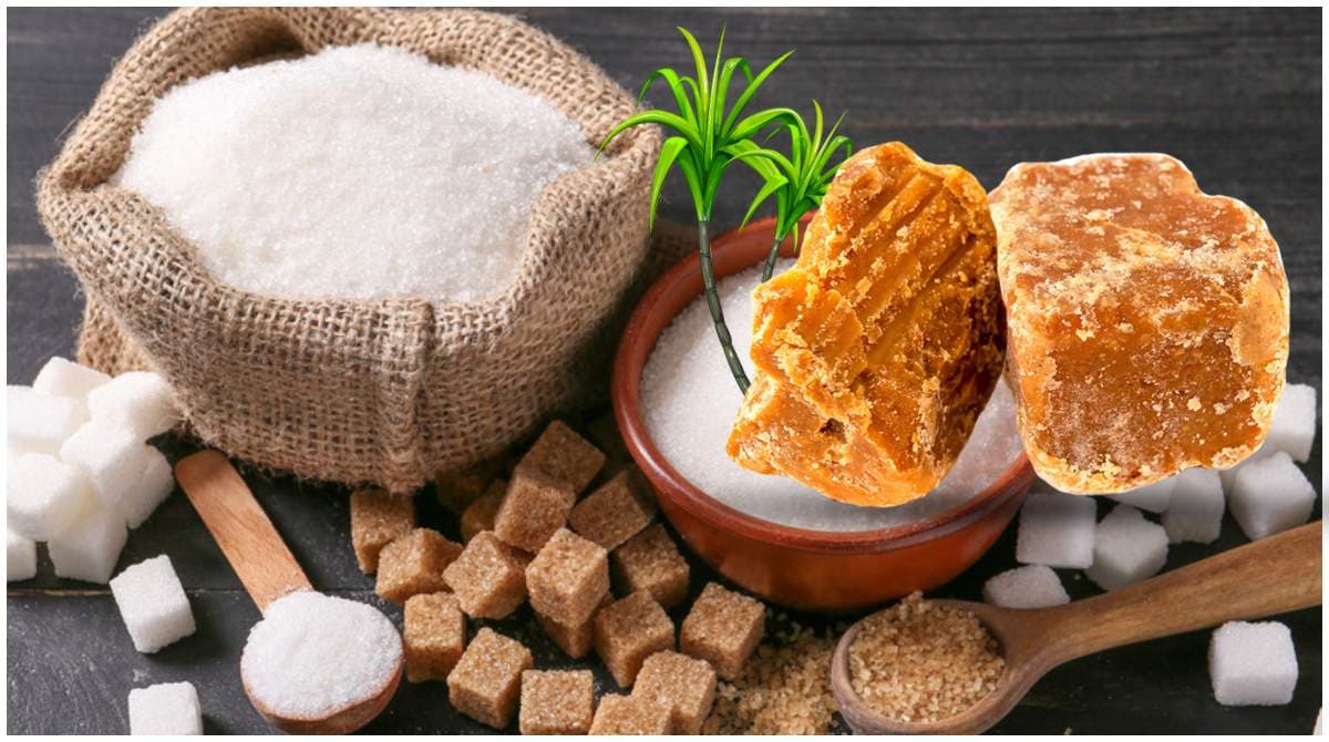 Sugar vs Jaggery: सावधान! सफेद चीनी जितना जहरीला है गुड़, आप तो नहीं करते ये गलती?