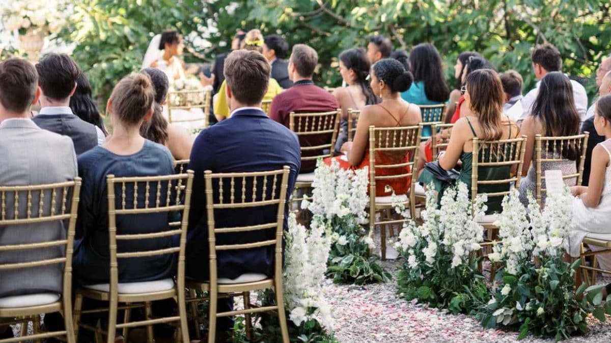 Wedding Guest