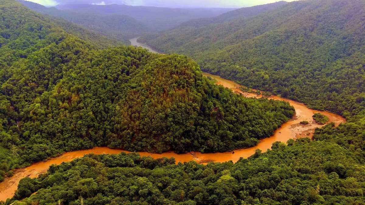 Wayanad Landslide के बाद केंद्र सरकार का बड़ा कदम, पश्चिमी घाट का 57000 Sq Km एरिया इको सेंसिटिव जोन होगा घोषित