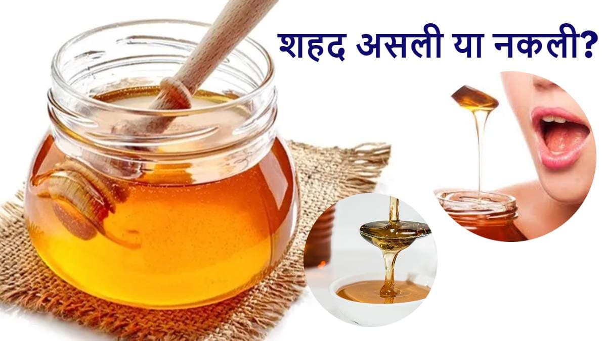 Honey Purity Test: शहद नकली है या असली? मिनटों में 3 Tricks से करें पता!
