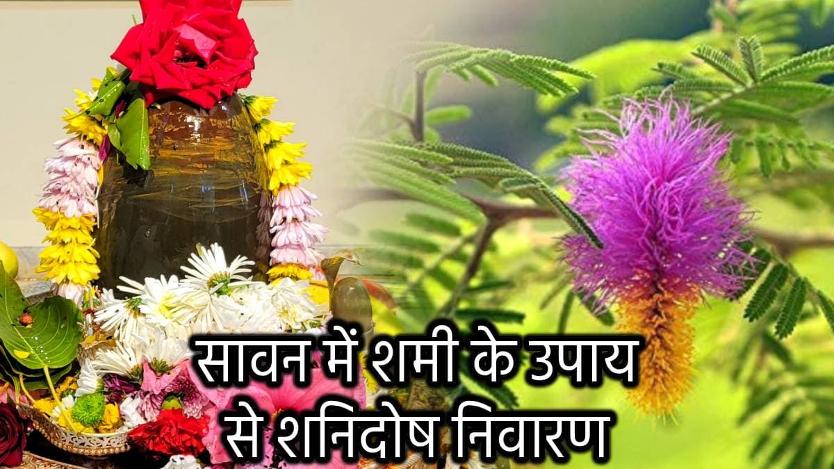 Sawan ke Upay: सावन में करें शमी के 11 अचूक उपाय, साढ़ेसाती, ढैय्या शनि दोष से मिलेगी मुक्ति!