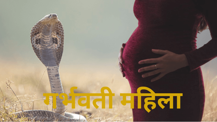 क्या सच में गर्भवती महिलाओं को नहीं काटते सांप? जाने क्या है इसके पीछे की सच्चाई!