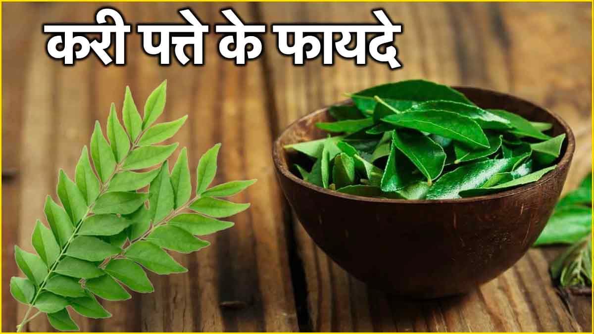 Curry Leaves Uses: सिर्फ पकवानों में नहीं, सफाई में भी बड़ा फायदेमंद है करी पत्ता