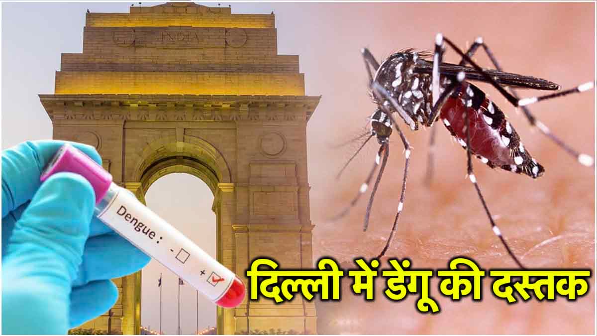 अलर्ट! दिल्ली में फिर डेंगू की दस्तक, 2 लोगों की मौत; अब भी न संभले तो फैल जाएगी महामारी!