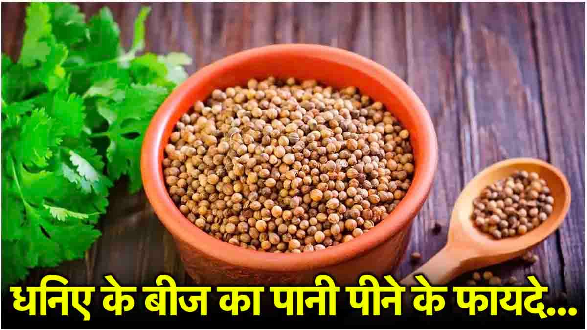 Coriander Seeds Water Benefits: रोजाना खाली पेट पिएं 1 गिलास धनिए का पानी, शरीर को मिलेंगे 5 जबरदस्त फायदे!