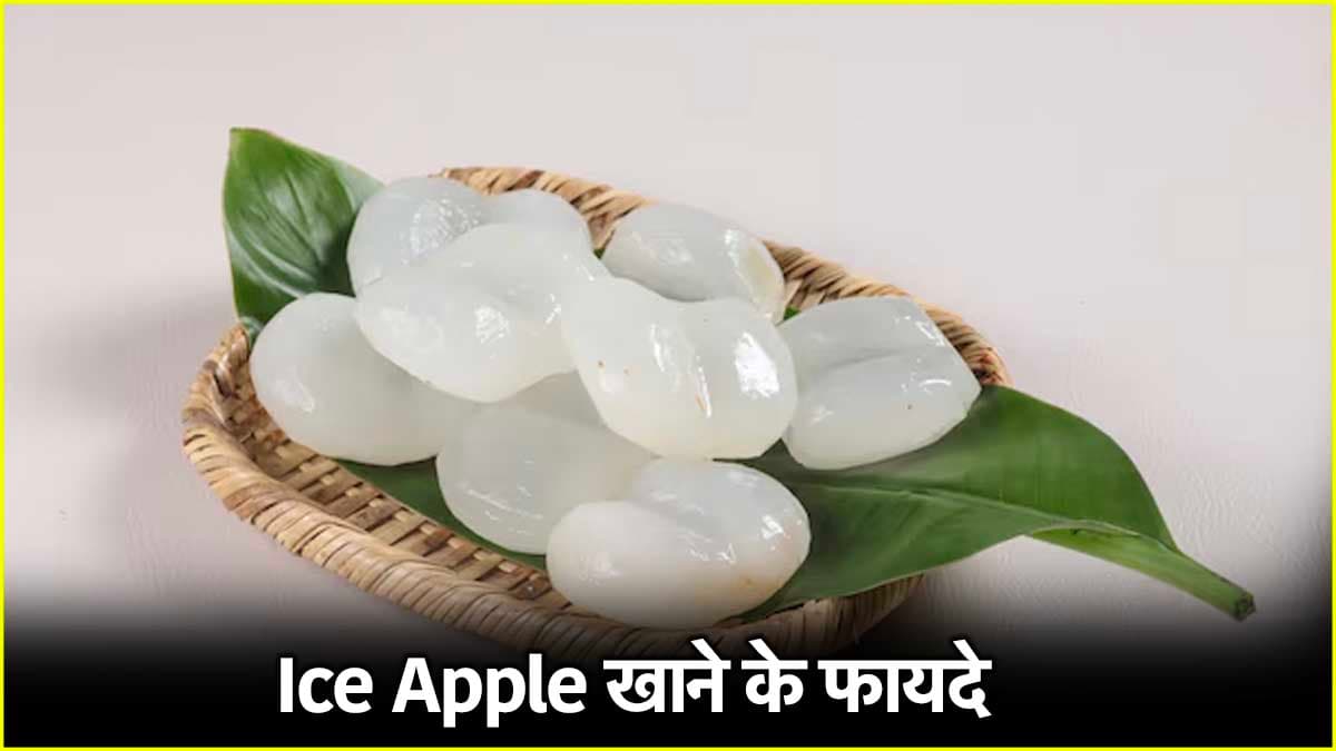 Ice Apple क्या और कैसे फायदेमंद? स्वाद में नारियल जैसा दिखने में लीची