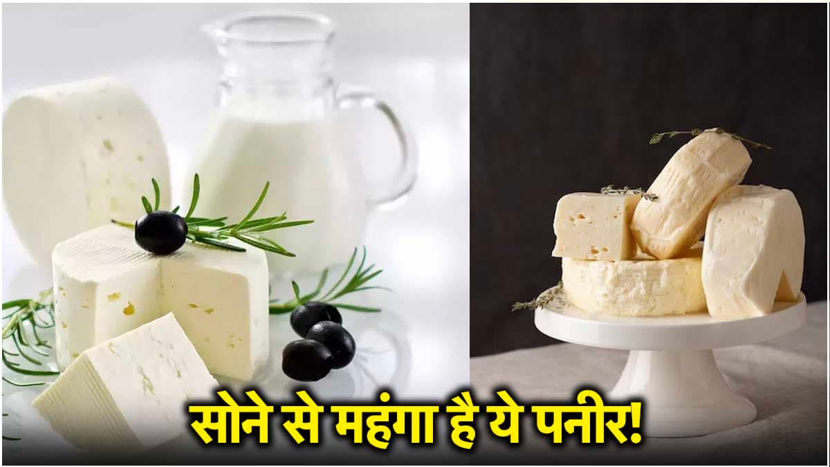 Most Expensive Paneer: दुनिया का सबसे महंगा पनीर, दाम ऐसा कि सुन खड़े हो जाएंगे कान!