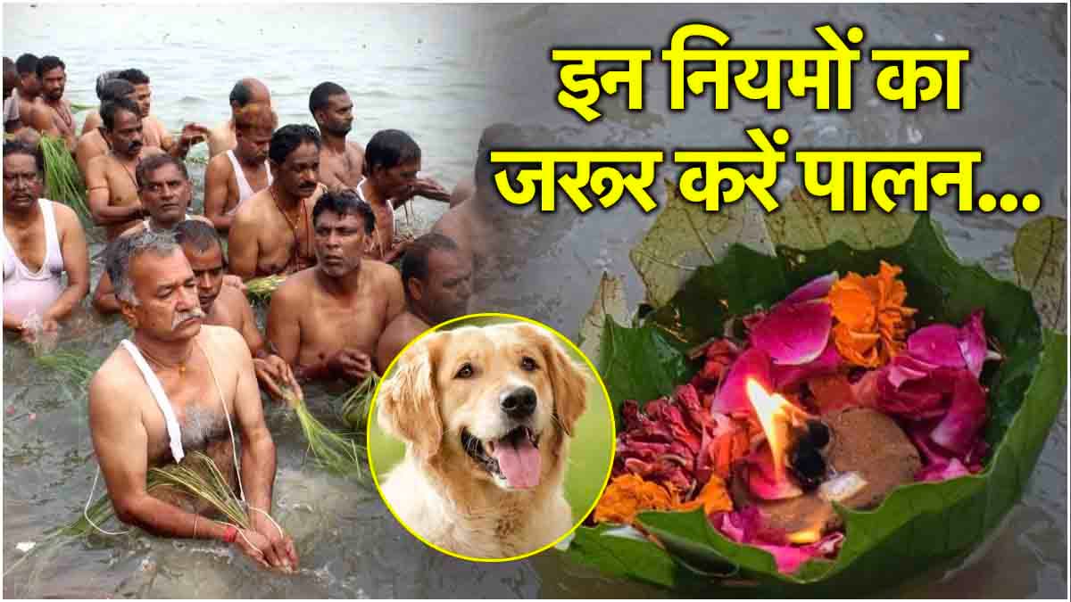 Pitru Paksha 2024: तर्पण करने से पहले इन 5 के लिए जरूर निकालें खाना, जानें खाने से जुड़े नियम