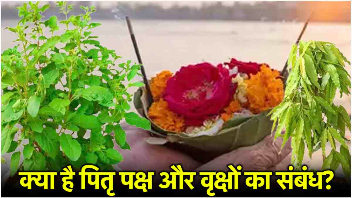Pitru Paksha 2024: पितृ पक्ष में लगाएं ये 5 तरह के पेड़-पौधे, पितरों की होगी खास कृपा!