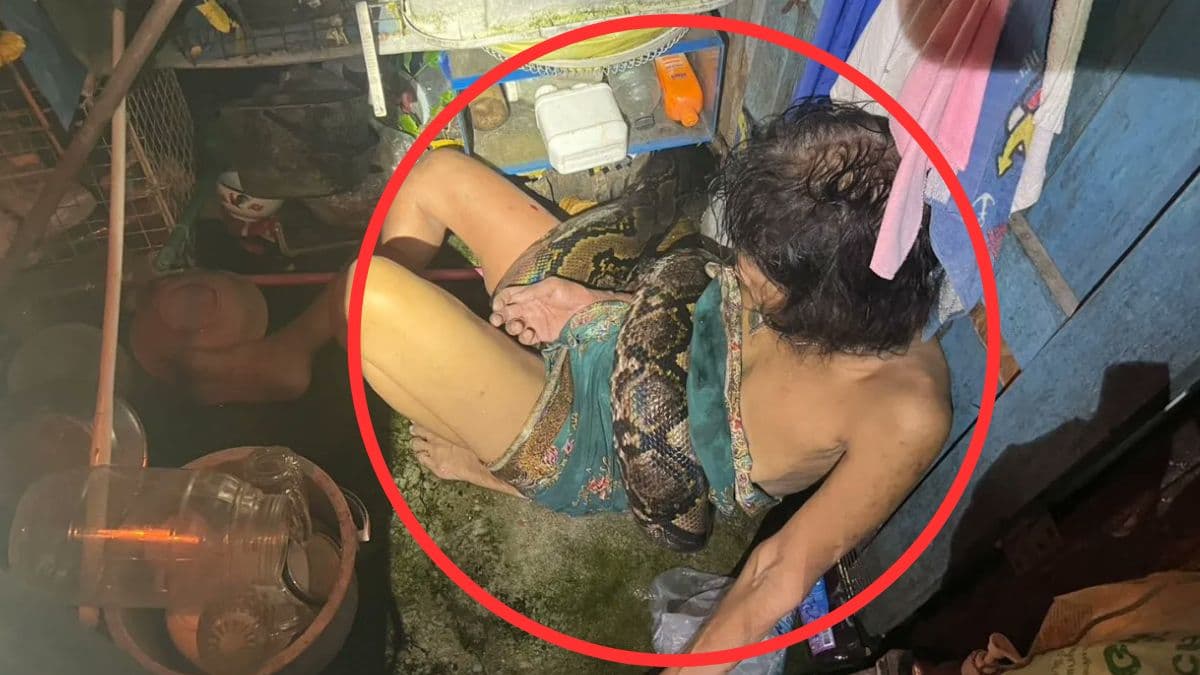 Video: 13 फीट लंबे अजगर से दो घंटे तक लड़ी महिला, पुलिस की मदद से बची जान