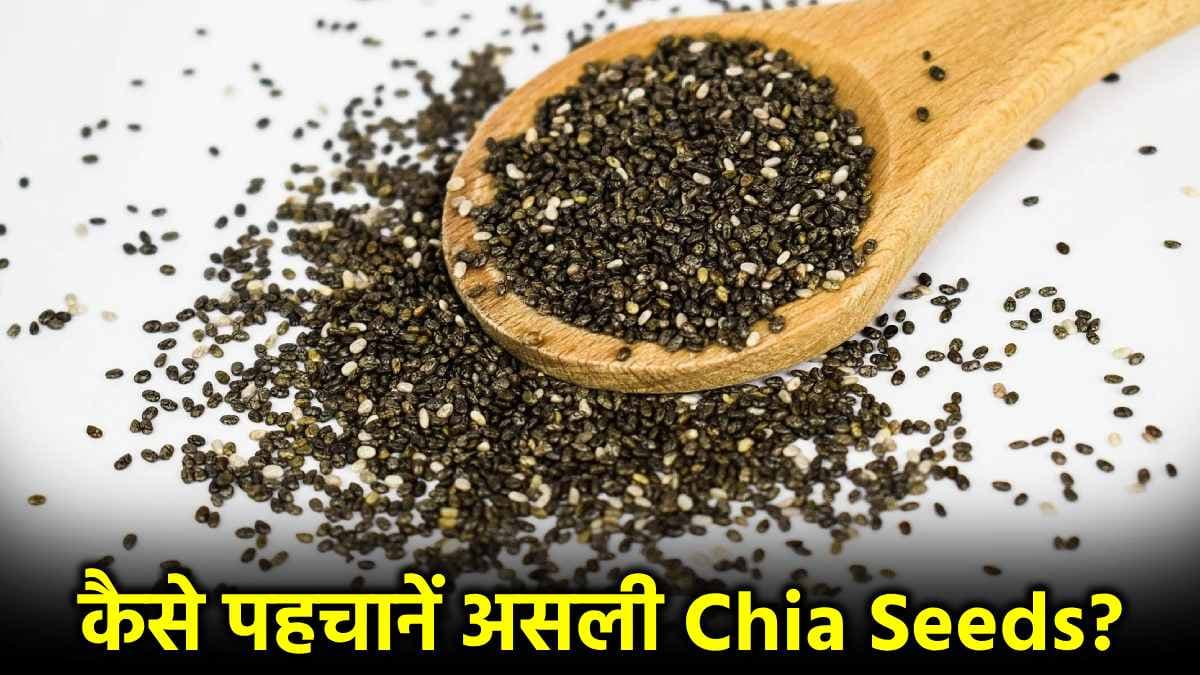 Real or Fake: कहीं आप तो नहीं खा रहे नकली Chia Seeds? इन 3 ट्रिक्स से करें असली की पहचान