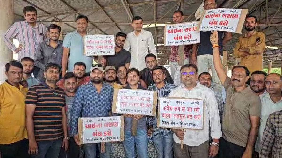 क्या होता है चाइनीज लहसुन? कितना नुकसानदायक? भारत समेत दुनिया के कई देशों में बैन; अब गुजरात कैसे पहुंचा?