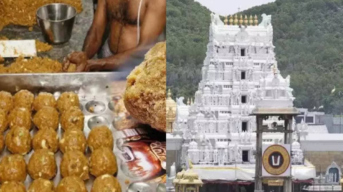 प्रसाद विवाद के बाद TTD का बड़ा फैसला, तिरुपति मंदिर में ये कंपनी करेगी घी सप्लाई; रोजाना बनेंगे इतने लड्डू