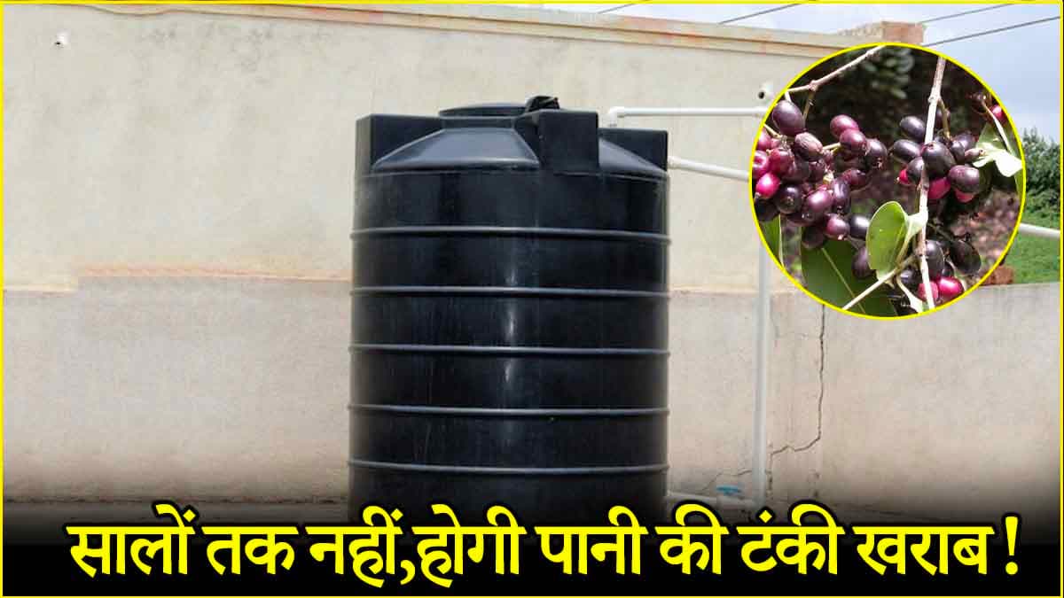 Water Tank Cleaning Tips: 101 साल तक पानी की टंकी में नहीं जमेगी काई! बस डाल दें इस पेड़ की लकड़ी