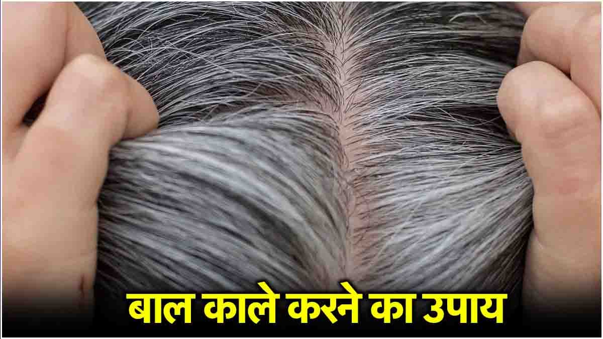 White Hair Home Remedy: सफेद बालों को मिनटों में करें काला, अपनाएं ये घरेलू नुस्खा