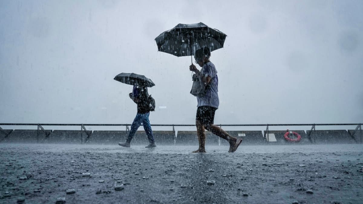 300KM स्पीड वाला तूफान...3800KM दूर आकर मचा रहा तबाही, कैसे हैं Yagi टाइफून से भारत में हालात?