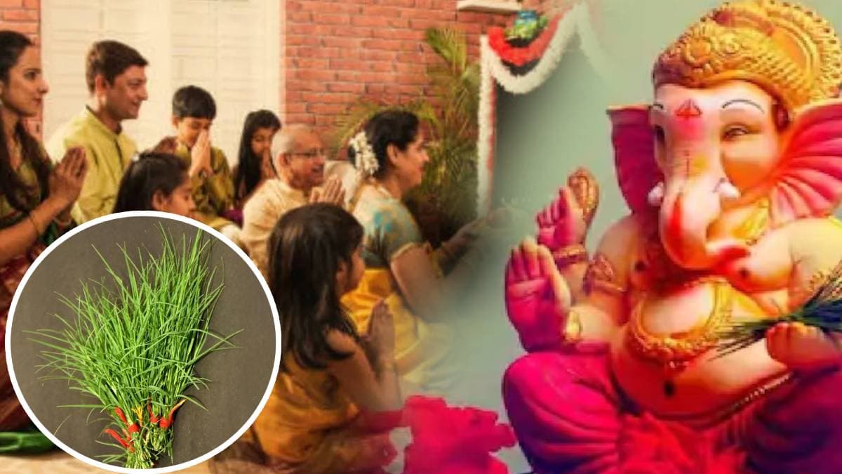 Ganesh Chaturthi 2024: पूजा में क्यों चढ़ाते हैं दूर्वा घास, आज जान लें उसकी हैरान करने वाली कहानी; गणेश जी को भी है प्रिय