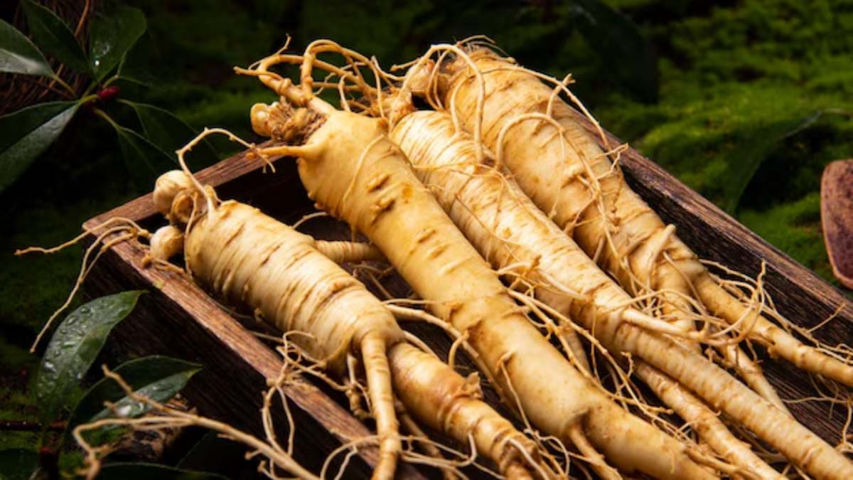 Skin Care Tips: जिनसेंग से मिनटों में पाएं जवां त्वचा! जानें खूबसूरती बढ़ाने का घरेलू नुस्खा