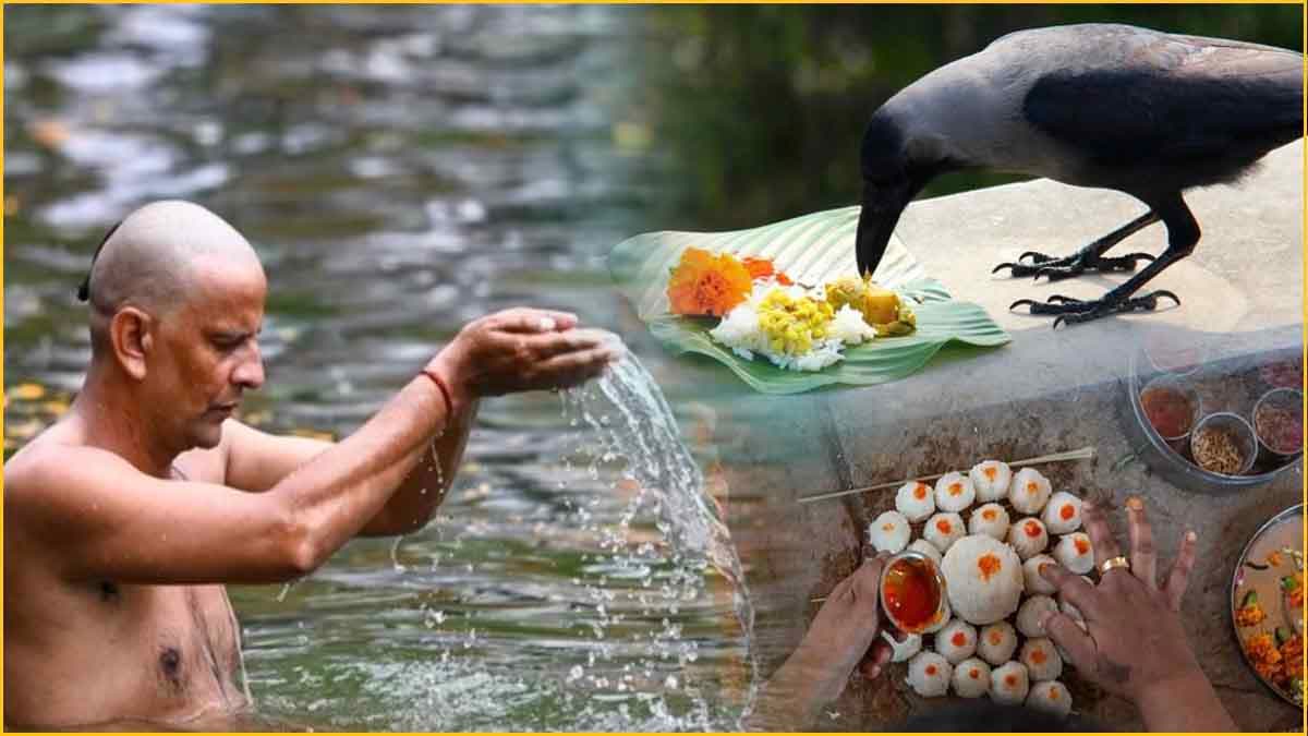 Pitru Paksha 2024: श्राद्ध का खाना घर पर नहीं बना पा रहे हैं तो क्या करें? जानें खाने से जुड़े जरूरी नियम