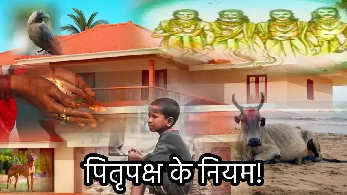 Pitru Paksh 2024: पितृपक्ष में किसी भी रूप में आ सकते हैं पितर, घर आएं इन जीवों का भूल से भी न करें अनादर, वरना...
