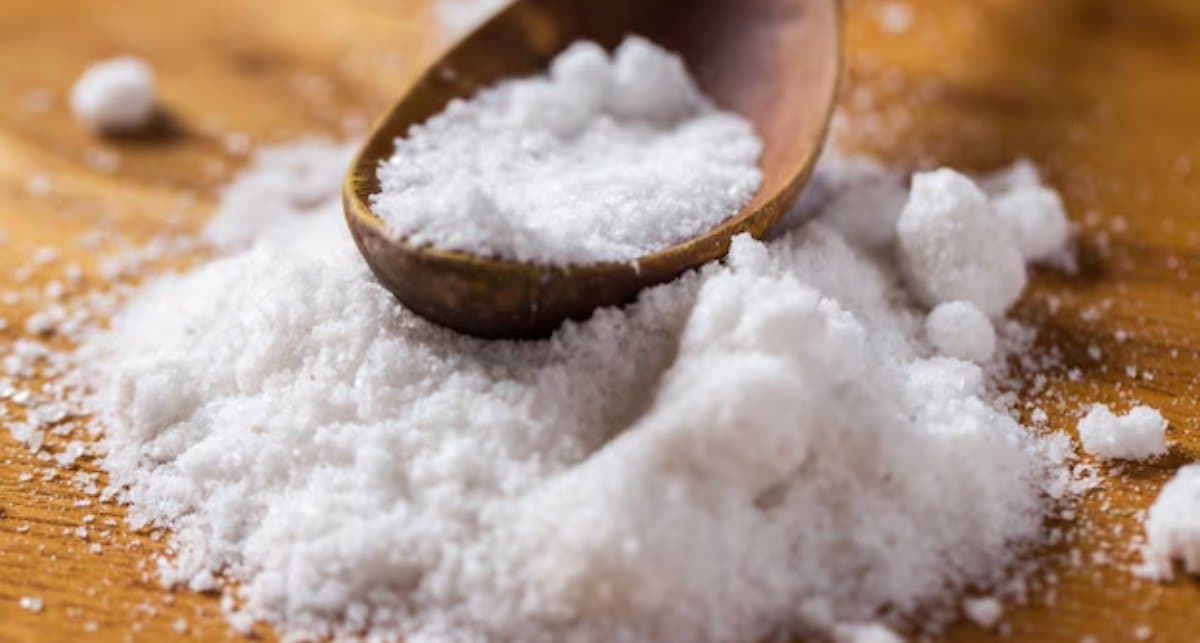 Benefits of Salt in Tea: चाय में चुटकीभर नमक बेहद फायदेमंदी, जानें मिलाकर पीने से क्या होगा?