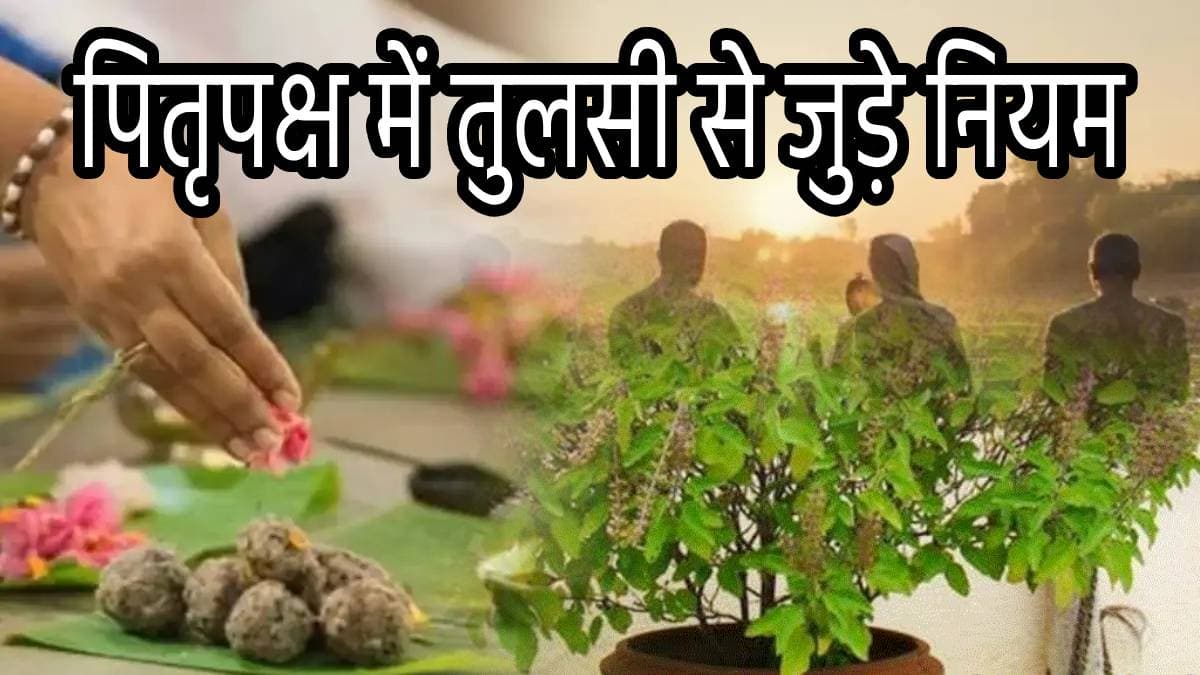 Pitru Paksh 2024: पितृपक्ष में न करें तुलसी से जुड़ी ये 3 गलतियां, नाराज हो सकते हैं पितर!