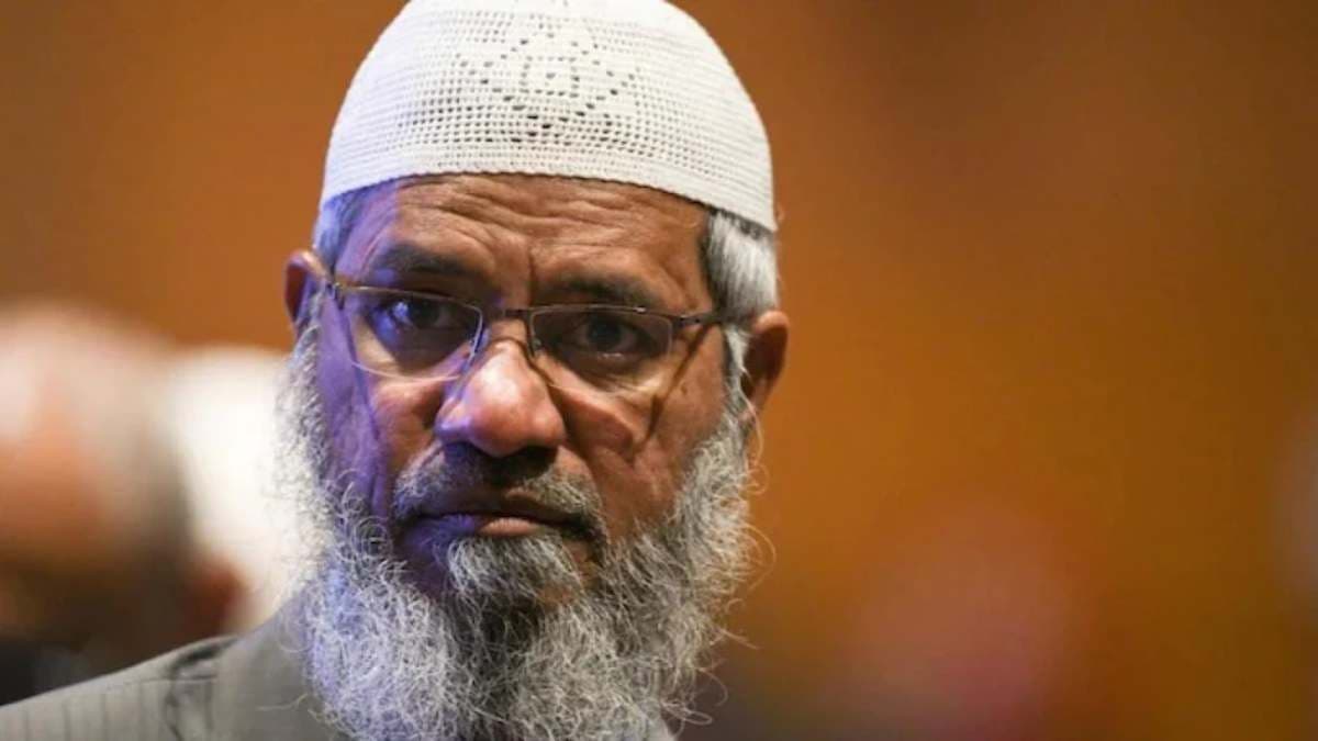 'अगली बार ऐसे अनपढ़ लोगों को न बुलाएं' जाकिर नाइक पर भड़के 'पाकिस्तानी', सोशल मीडिया पर जमकर किया ट्रोल